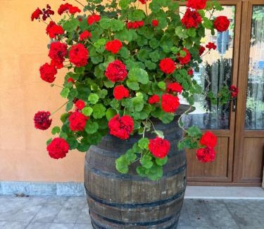 Madonna Dei Fornelli Bed & Breakfast | B&b Romani
