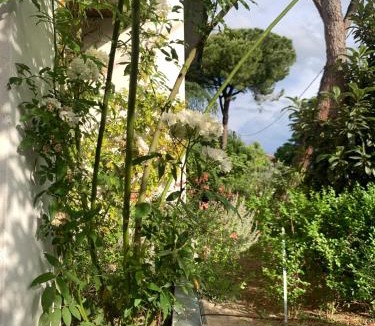 Santarcangelo di Romagna Apartment | Beau Rivage - Room Studio in villa