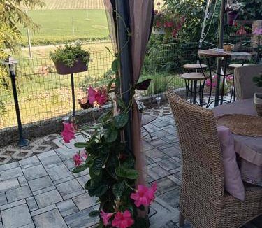 Castelvetro di Modena Bed & Breakfast | Bed and breakfast ∙ 3 guests