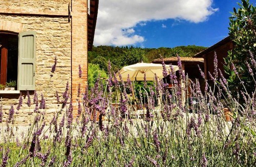 Casola Valsenio Bed & Breakfast | Bed and breakfast ∙ 4 guests