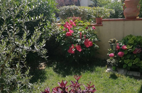 Savio House | Bed and Breakfast Casa Patrizia