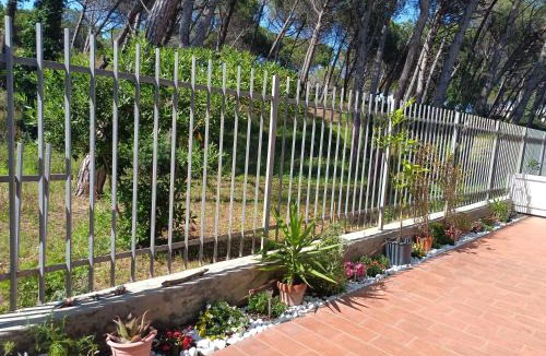 Marina di Bibbona Apartment | Bibbona Summer - Pineta 1 -