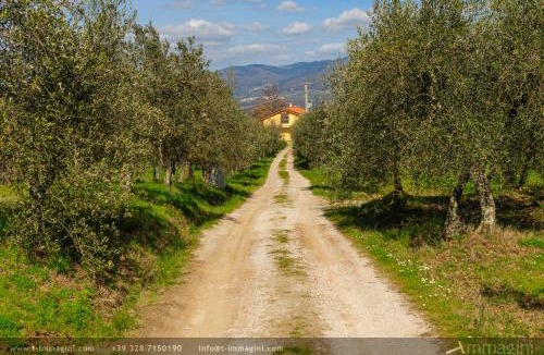 Figline e Incisa Valdarno House | Bioagriturismo Poderaccio