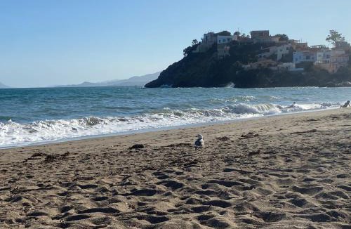 Bolnuevo Apartment | Bright apartment with private terrace and sea views