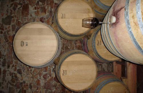Marca House | Ca la Viola