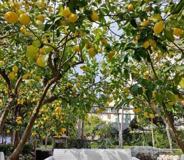 Minori Bed & Breakfast | Casa Amorino