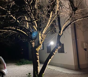 Novi di Modena House | Casa Bellodi