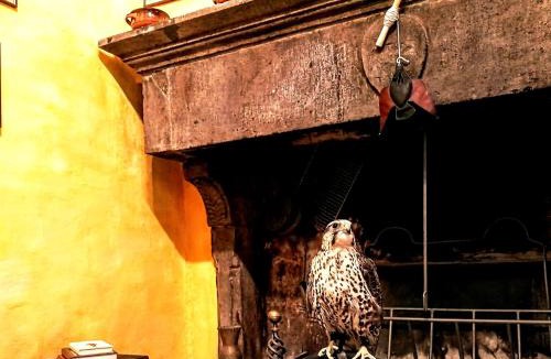 Vitorchiano Apartment | Casa del Falco