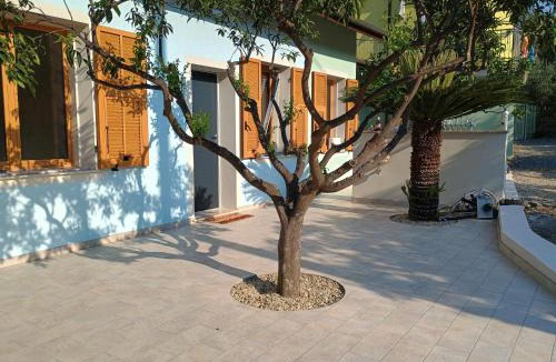 San Simone House | Casa dell'arancio