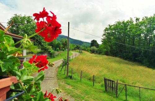 Bedonia House | Casa di Anita