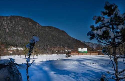 Tarvisio Apartment | Casa di Giuliano