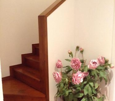 Ladispoli Bed & Breakfast | Casa di Lucia B&B