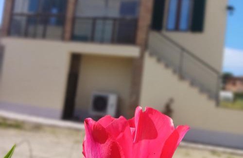 Monticiano House | Casa di zio