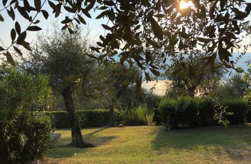 Villavetro House | Casa Elisa