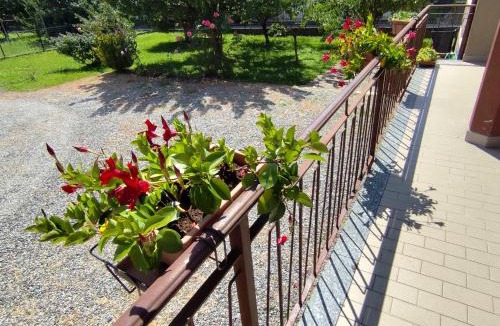 Montalto Dora Apartment | Casa Ikigai - accogliente e spaziosa