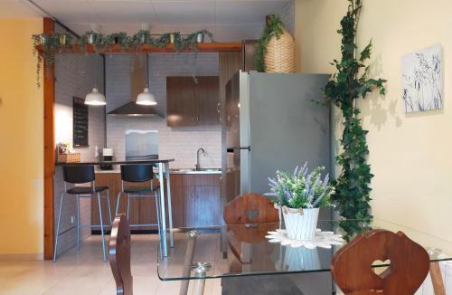 Sant Joan de Les Abadesses Apartment | Casa María, ático con vistas y parking