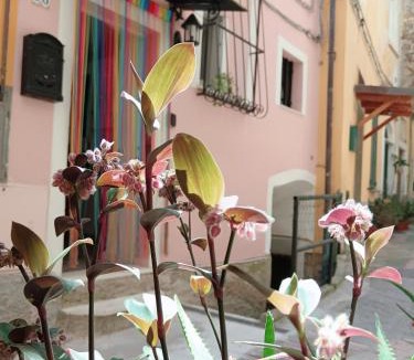 Arcola House | Casa Martina