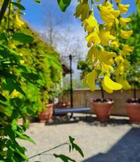 Cisterna d'Asti Apartment | Casa Nonna Ada