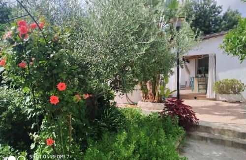 Sant Jaume dels Domenys House | Casa Relax