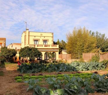 Borrassa House | Casa TAPIOLAS