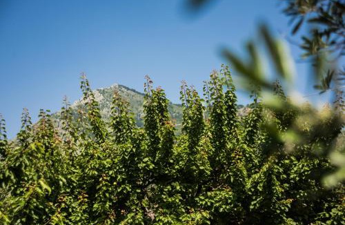 Cirignano House | Casa Vacanza Dal Cavaliere