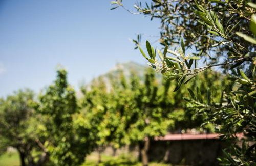 Cirignano House | Casa Vacanza Dal Cavaliere