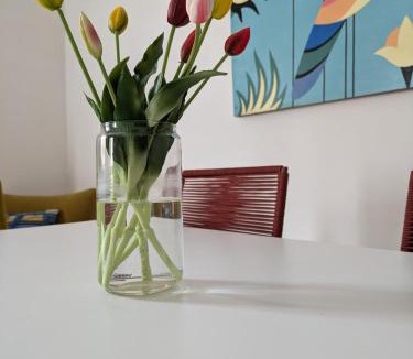 San Pietro in Lama House | Casa Vacanze con Piscina a 2 passi da Lecce P1