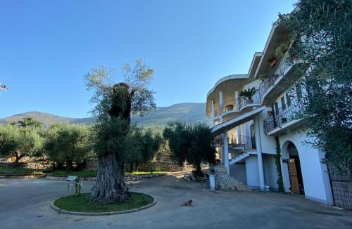 Sonnino Apartment | Casa Vacanze La Selva