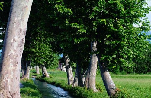 Cuneo Bed & Breakfast | CASA VOLA