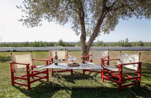 Pilas House | Casablanca: Rest among olive trees