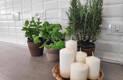 Bolognina House | Casadei Guest House Stazione Bologna