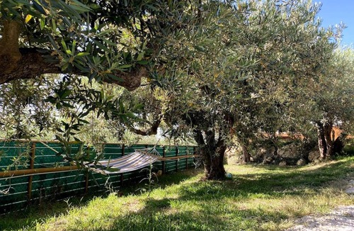 Marsala House | Casetta Rakalia, in collina nel bosco degli ulivi