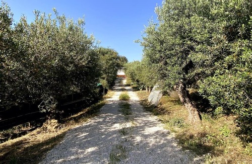Marsala House | Casetta Rakalia, in collina nel bosco degli ulivi