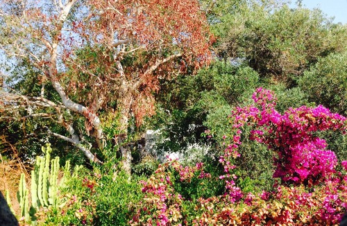 Piscita Villa | Charme and relax in the Aeolian paradise