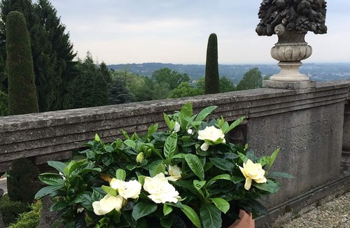 Barzano Villa | Charming 16th c. Residenza between Milan and Lakes