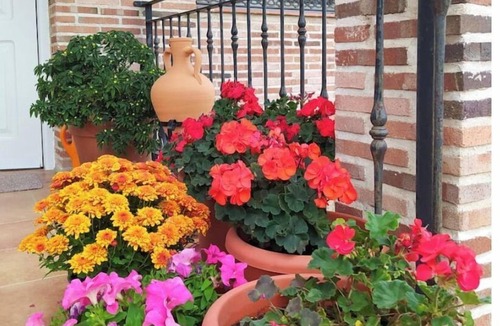 Escalona Cottage | Charming rural house for 4 people, parking, porch, barbecue and swimming pool.
