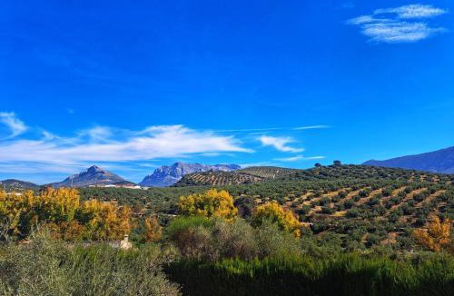 Rute House | Cortijo La Cañada