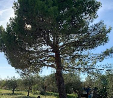 San Pietro House | Cottage Dell' Ulivo