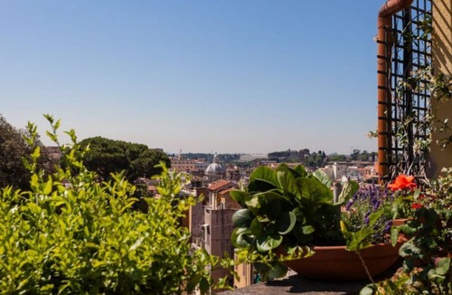 Repubblica Apartment | Daphne Terrace Penthouse Suite