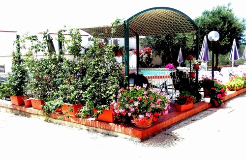 Priverno Bed & Breakfast | Domus Victoria