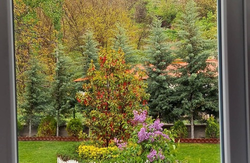 Nar Villa | Ebruli Cennet Bahçesi