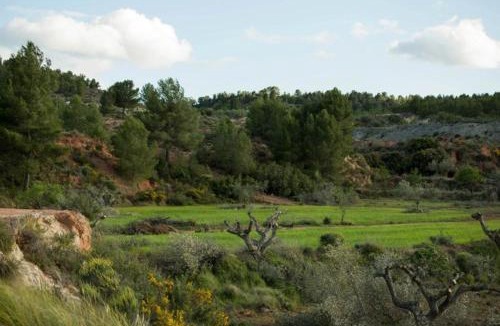Cehegin Villa | Ecoagroturismo Las Nieves