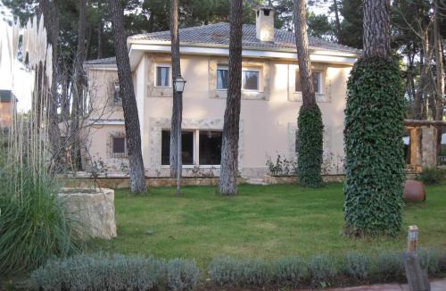 Jabaga House | El Chalet del Pinar