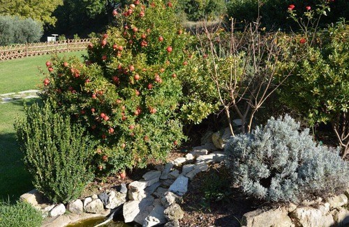 Rivotorto Apartment | Elegant accommodation for 2-4 people in the green countryside in Assisi