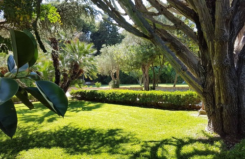 Partanna Villa | Fantastic pool surrounded by a 10,000 square meters of private garden