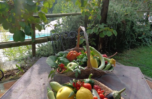 Garlenda Other | Farmhouse IReFenean Apart, 4 sleeps,pool, parking, only from Alassio beach,