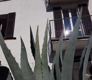 Moltrasio Apartment | Flora