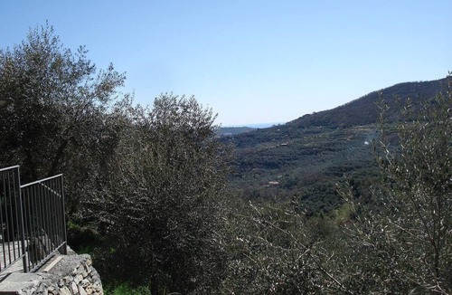 Villa Viani Apartment | Four - Miguel Apartment with panoramic view, among olive trees, sea 15 km away