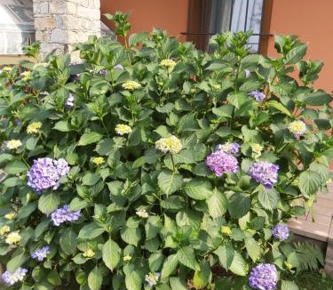 Nonio Apartment | G&G1 Appartamento con giardino privato