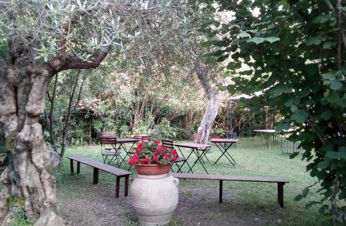 Fosdinovo Bed & Breakfast | Gli Ulivi Bed & breakfast